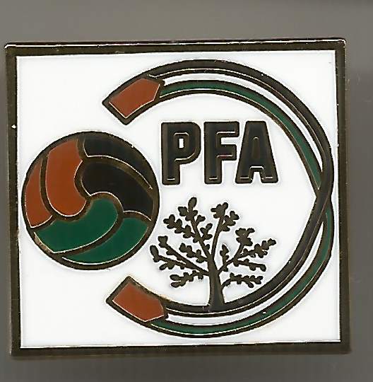 Pin Fussballverband Palaestina
